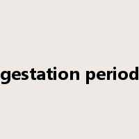 gestation period是什么意思