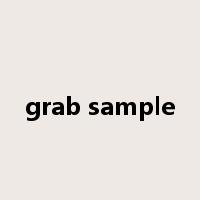 grab sample是什么意思