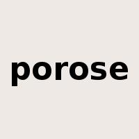 porose是什么意思