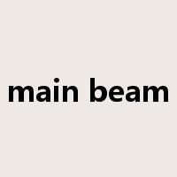 main beam是什么意思