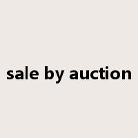 sale by auction是什么意思