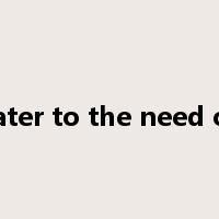 cater to the need of是什么意思