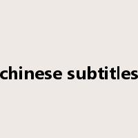 chinese subtitles是什么意思