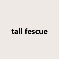 tall fescue是什么意思