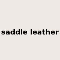 saddle leather是什么意思