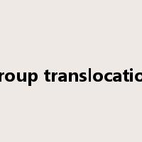 group translocation是什么意思