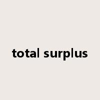 total surplus是什么意思
