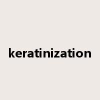 keratinization是什么意思