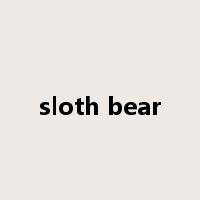 sloth bear是什么意思