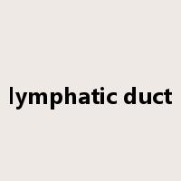lymphatic duct是什么意思