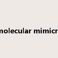 molecular mimicry是什么意思