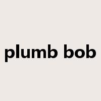 plumb bob是什么意思
