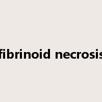 fibrinoid necrosis是什么意思