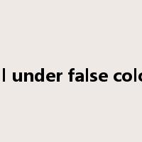 sail under false colors是什么意思