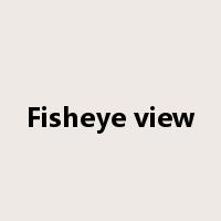 Fisheye view是什么意思