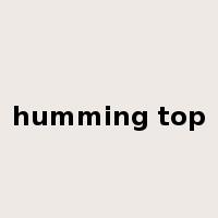 humming top是什么意思