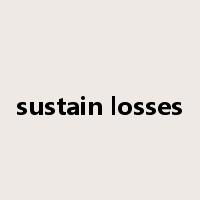 sustain losses是什么意思