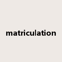 matriculation是什么意思