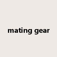 mating gear是什么意思