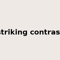 striking contrast是什么意思