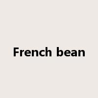 French bean是什么意思
