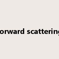 forward scattering是什么意思