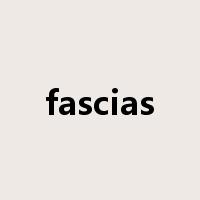 fascias是什么意思