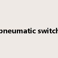pneumatic switch是什么意思