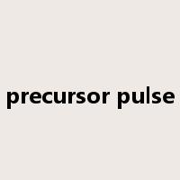 precursor pulse是什么意思