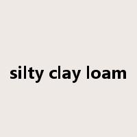 silty clay loam是什么意思