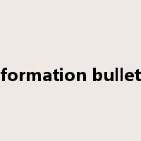 information bulletin是什么意思