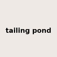 tailing pond是什么意思