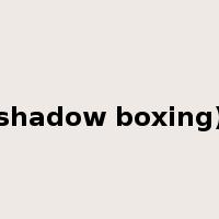 shadow boxing)是什么意思