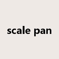 scale pan是什么意思