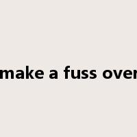 make a fuss over是什么意思