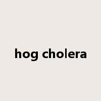 hog cholera是什么意思