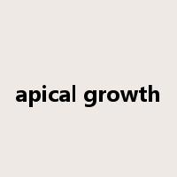 apical growth是什么意思