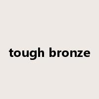 tough bronze是什么意思