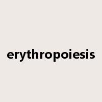 erythropoiesis是什么意思