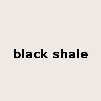 black shale是什么意思