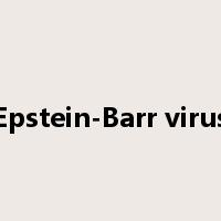 Epstein-Barr virus是什么意思