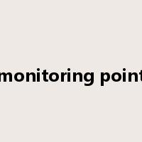 monitoring point是什么意思