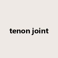 tenon joint是什么意思
