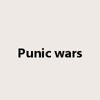 Punic wars是什么意思