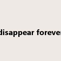 disappear forever是什么意思
