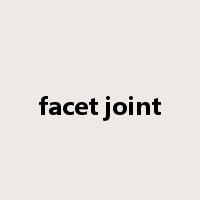 facet joint是什么意思