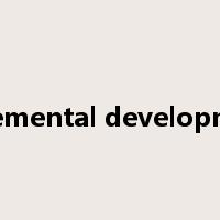 incremental development是什么意思