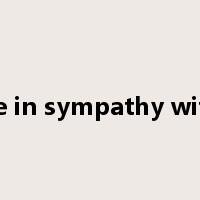 be in sympathy with是什么意思