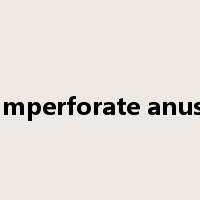 imperforate anus是什么意思