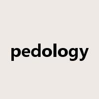 pedology是什么意思